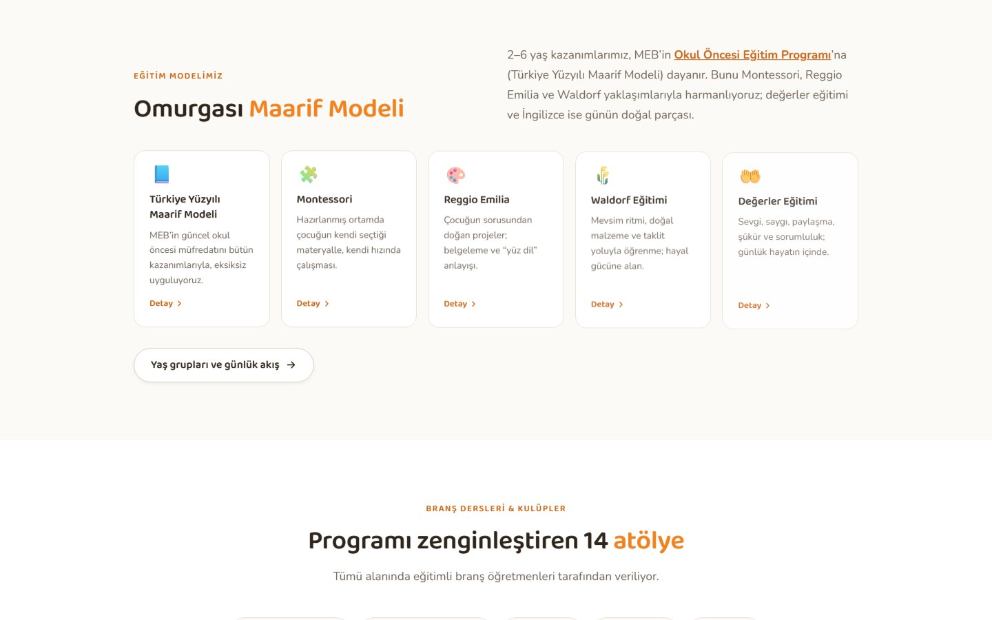 Balpeteği Anaokulu - Web & SEO