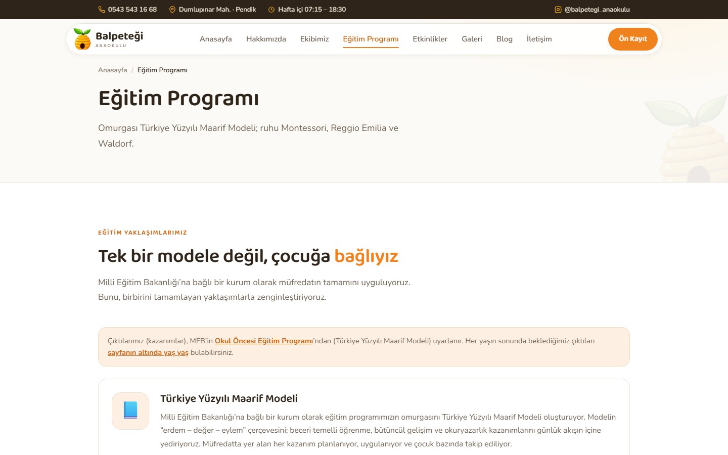 Balpeteği Anaokulu - Web & SEO