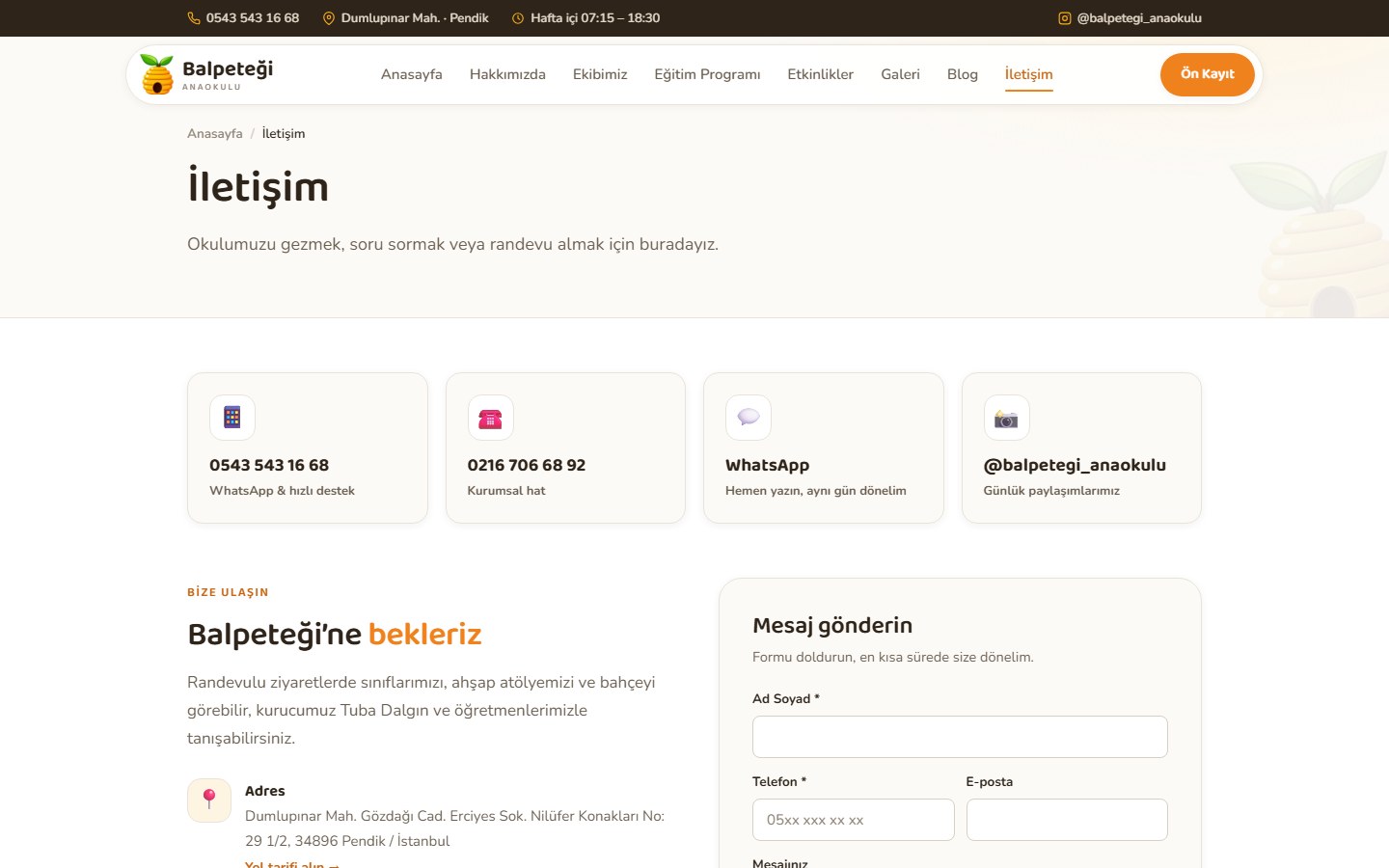 Balpeteği Anaokulu - Web & SEO
