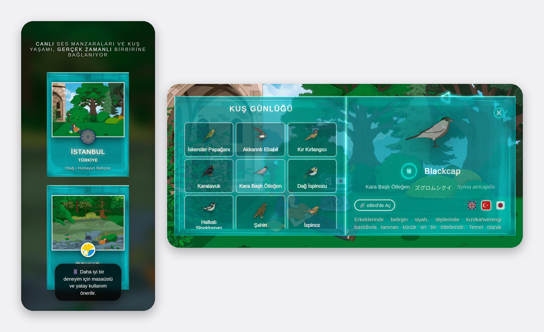 BirdHub mobil görünümü: dikey giriş ekranı ve yatay kuş günlüğü